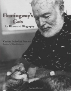 Biografia ilustrada sobre a relação de Hemingway e os gatos
